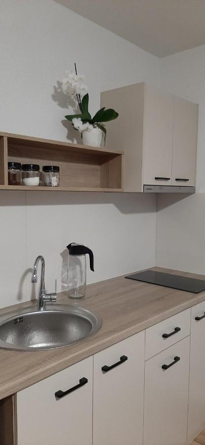 Snegar Apartments Охрид Экстерьер фото