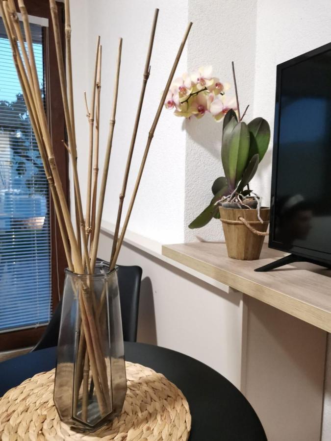 Snegar Apartments Охрид Экстерьер фото
