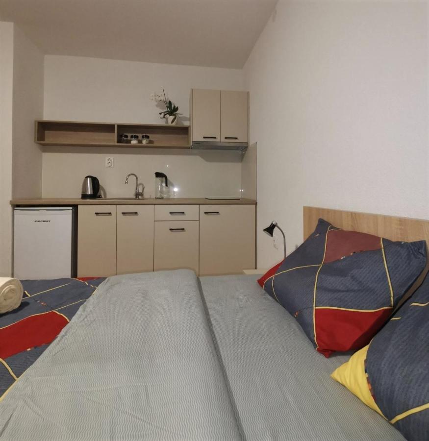 Snegar Apartments Охрид Экстерьер фото
